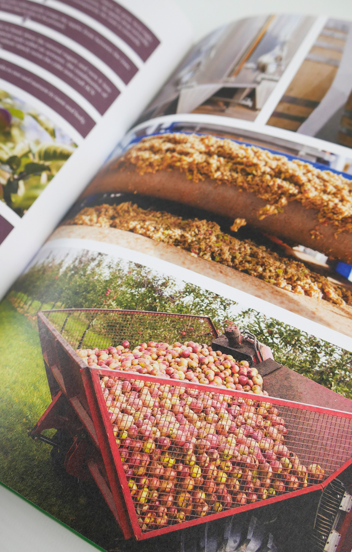 Gather & Nourish - OUT OF PRINT!