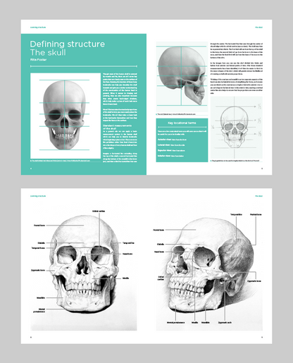 Human Head Anatomy: Defining Structure (Download Only)
