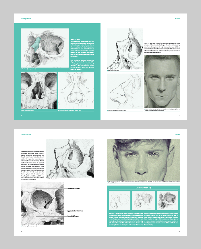 Human Head Anatomy: Defining Structure (Download Only)