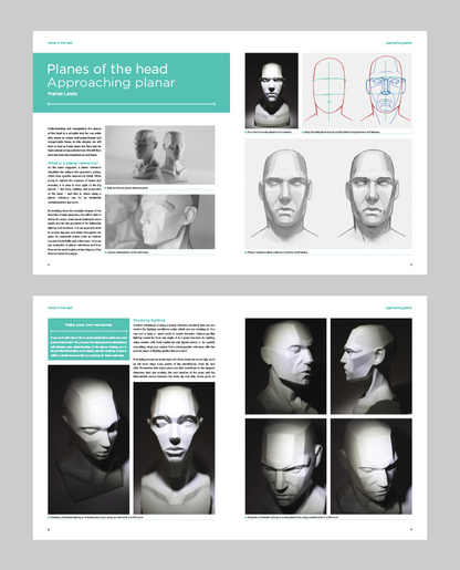 Human Head Anatomy: Planes of the Head (Download Only)