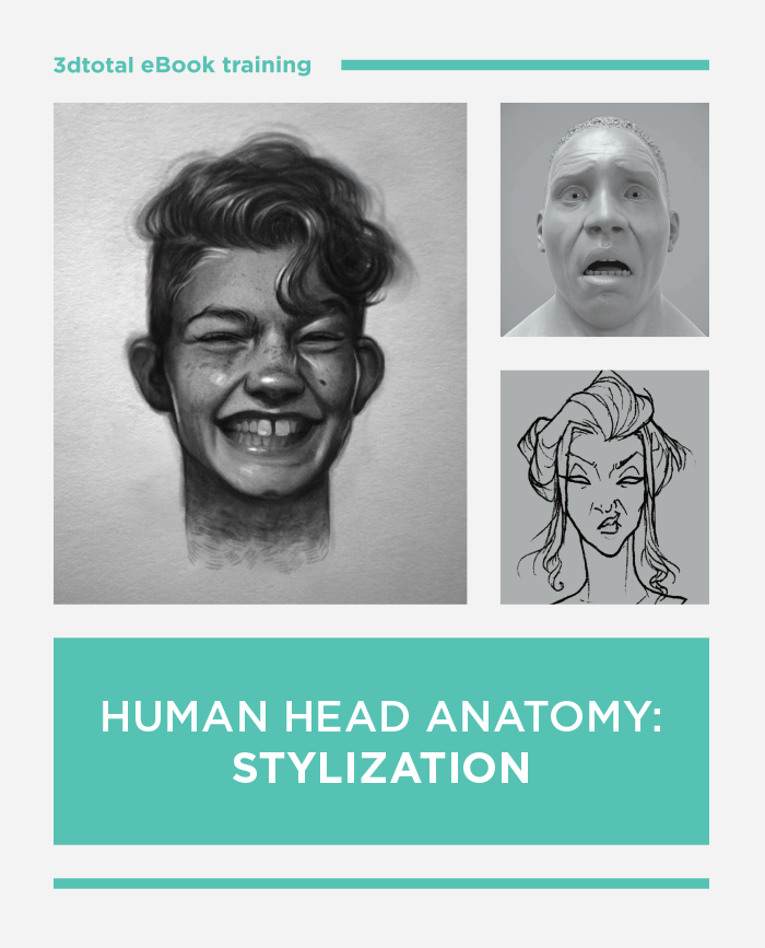 Human Head Anatomy: Stylization (Download Only)
