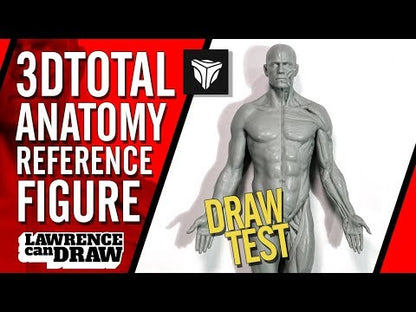 3dtotal Anatomy: male figure