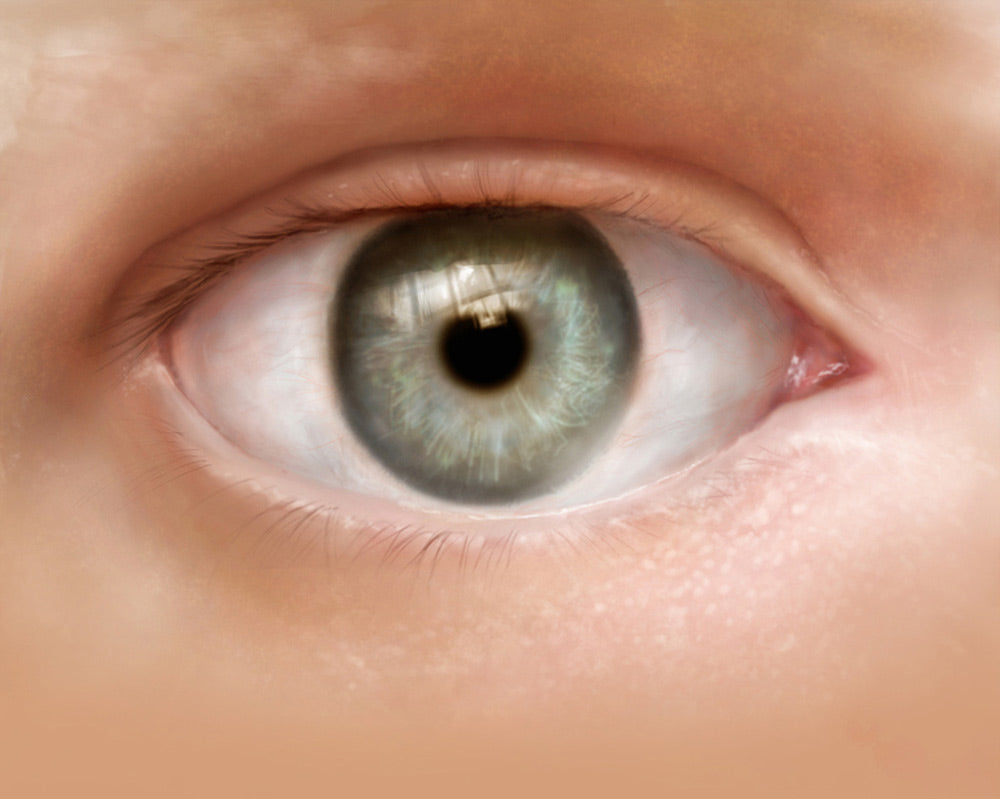 Elements: V1 (Download Only)