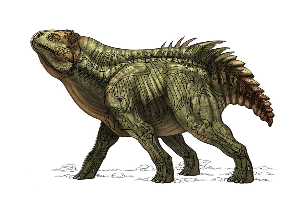 Creature Concept Design (Download Only)