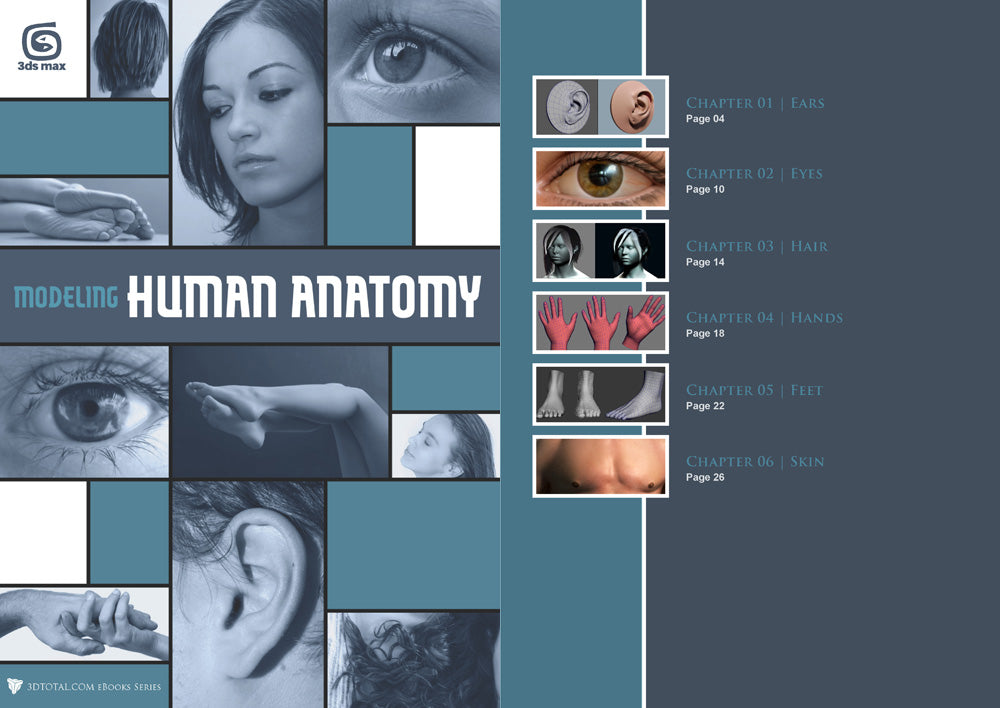 Modeling Human Anatomy - 3ds Max (Download Only)