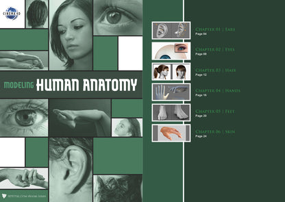 Modeling Human Anatomy - Cinema 4D (Download Only)