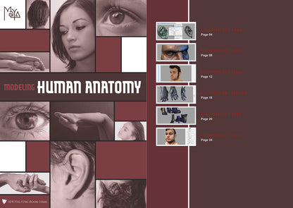 Modeling Human Anatomy - Maya (Download Only)