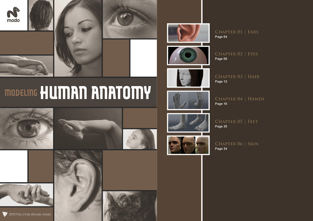 Modeling Human Anatomy - Modo (Download Only)