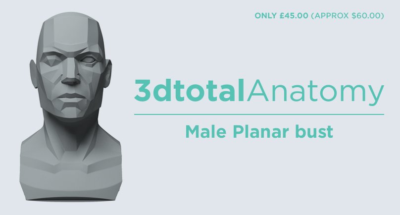 3dtotal Anatomy: Male planar bust