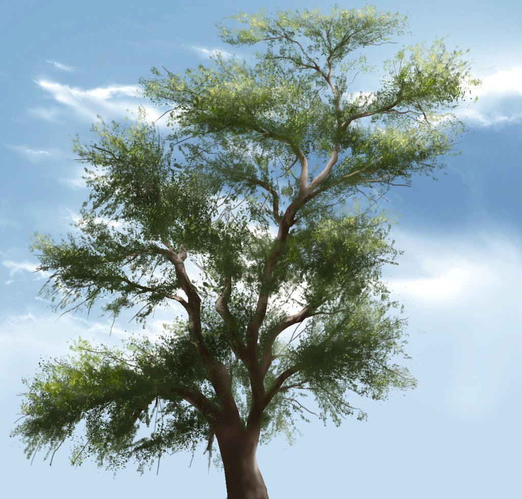 Elements: V2 (Download Only)