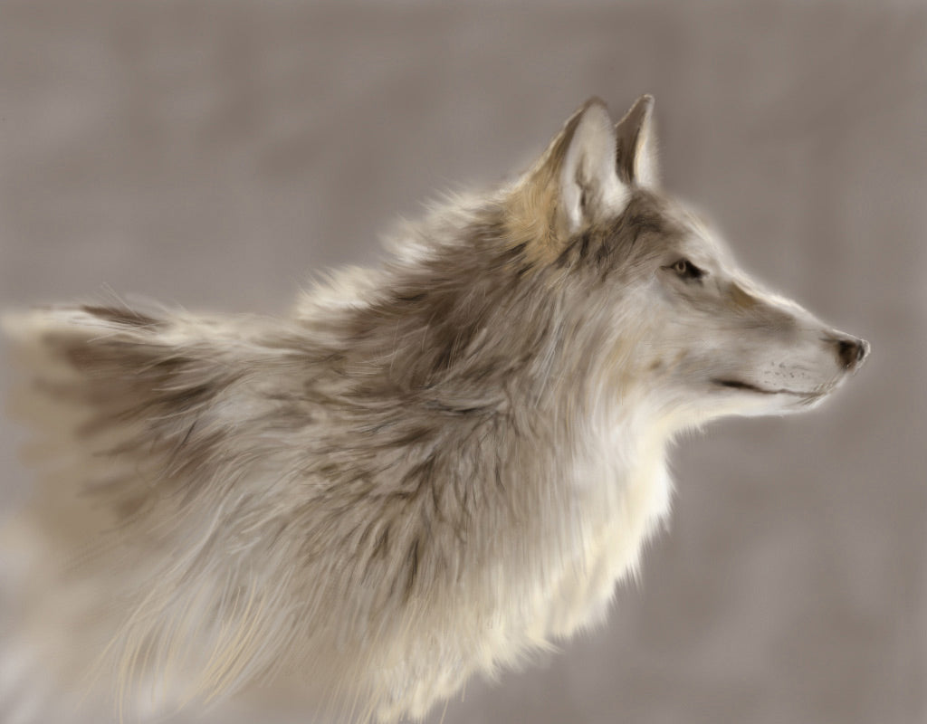 Elements: V1 (Download Only)