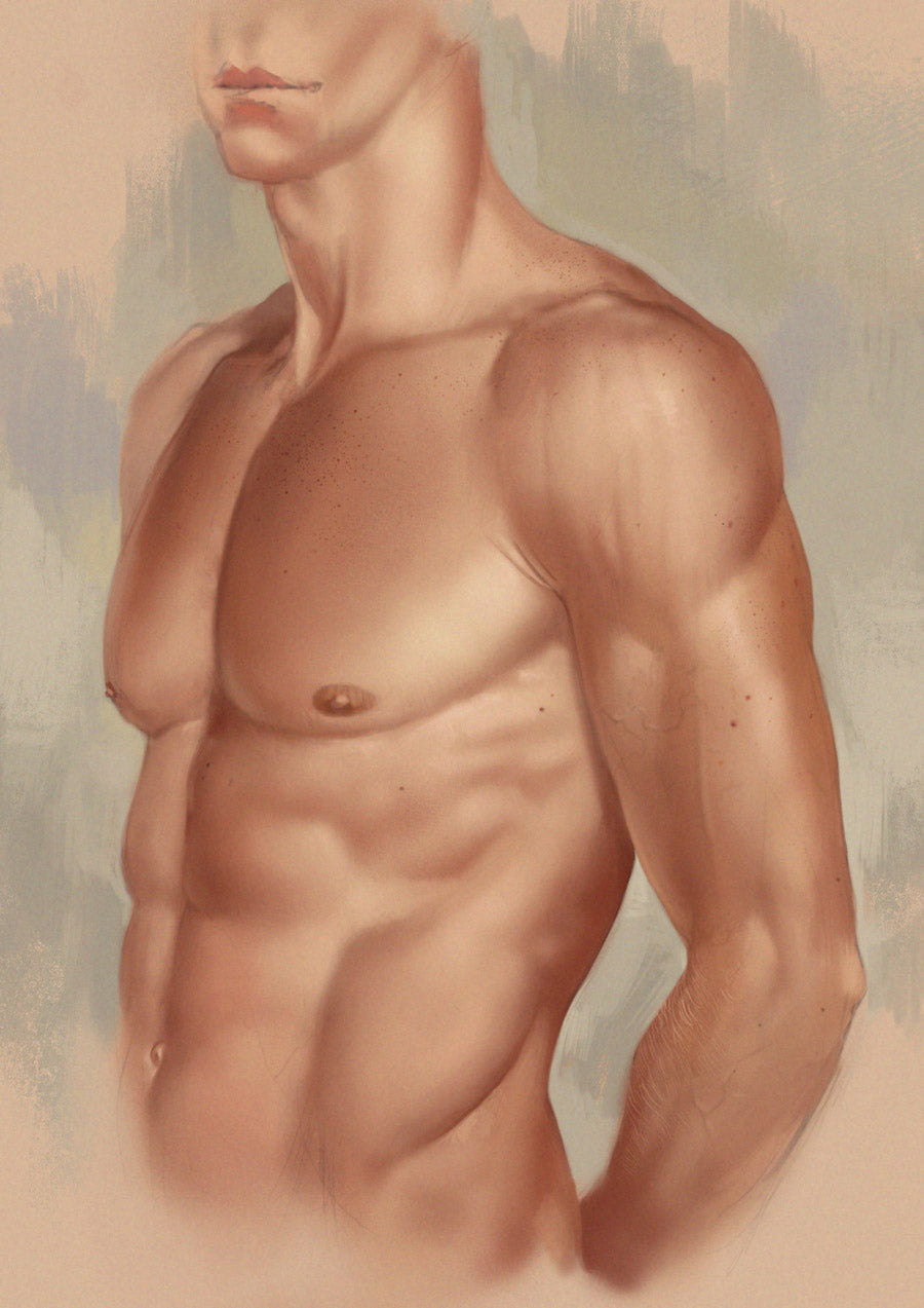 Elements: V2 (Download Only)