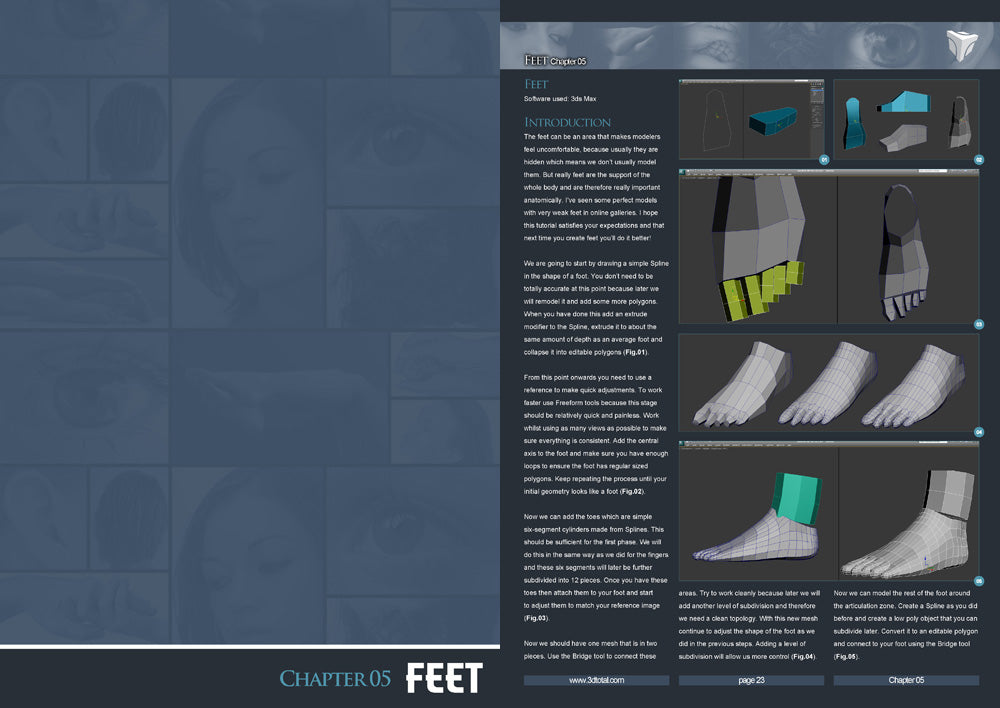 Modeling Human Anatomy - 3ds Max (Download Only)