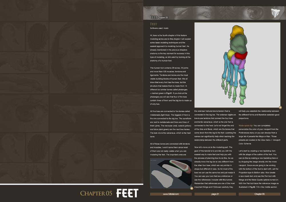 Modeling Human Anatomy - Modo (Download Only)