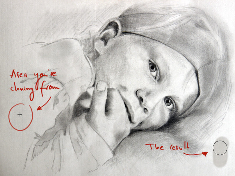 Beginner's Guide to Digital Painting (Download Only)