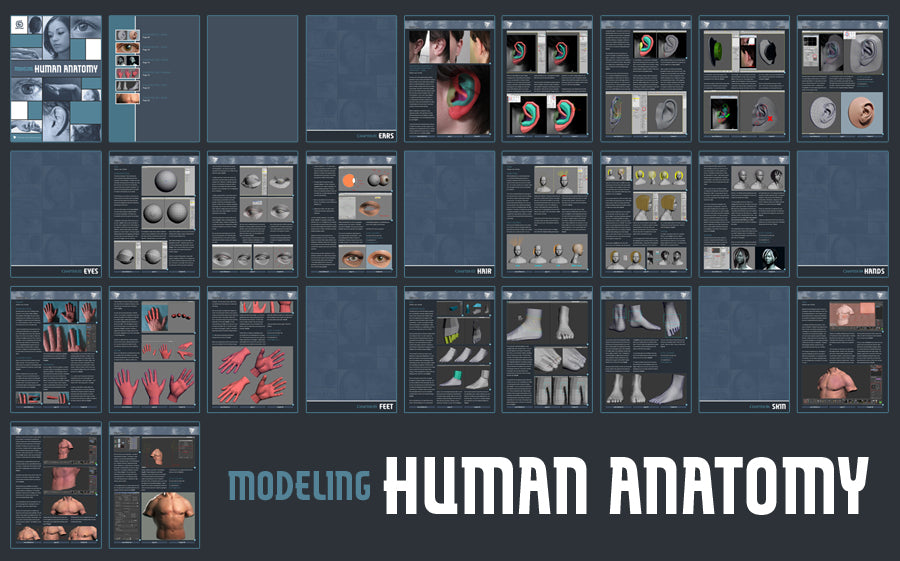 Modeling Human Anatomy - 3ds Max (Download Only)