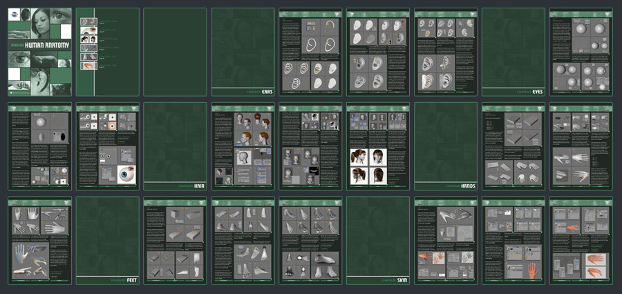 Modeling Human Anatomy - Cinema 4D (Download Only)