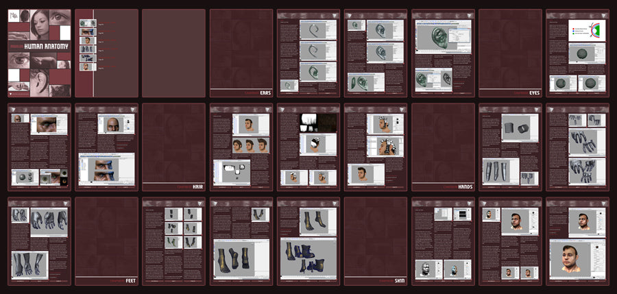 Modeling Human Anatomy - Maya (Download Only)