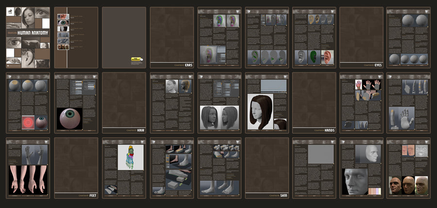 Modeling Human Anatomy - Modo (Download Only)