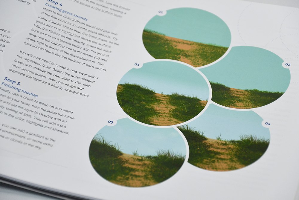 Beginner's Guide to Digital Painting in Photoshop Elements - OUT OF PRINT!